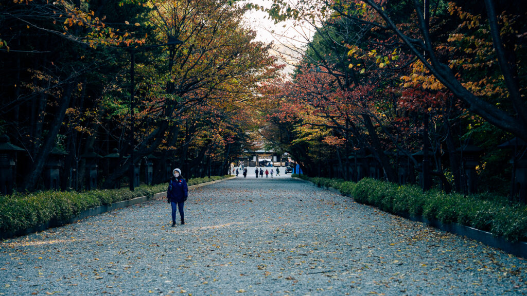 A woman walks along a wide gravel path lined with trees turning autumn colors at Hokkaido-Jingu.