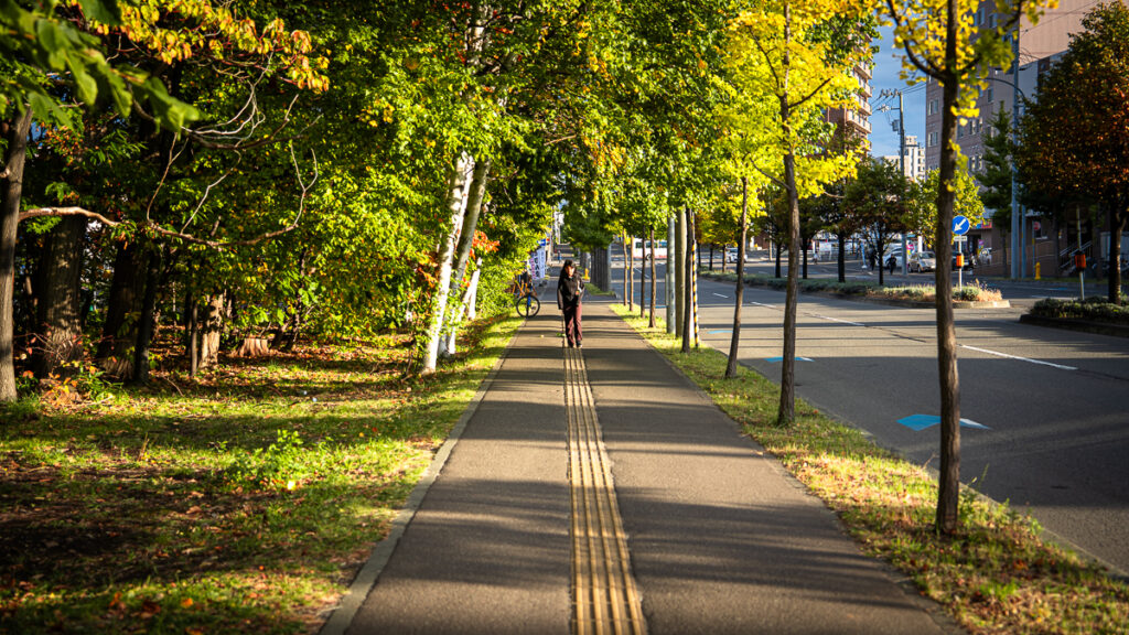 A peaceful suburban street with one pedestrian and trees showing early fall colors in Sapporo.