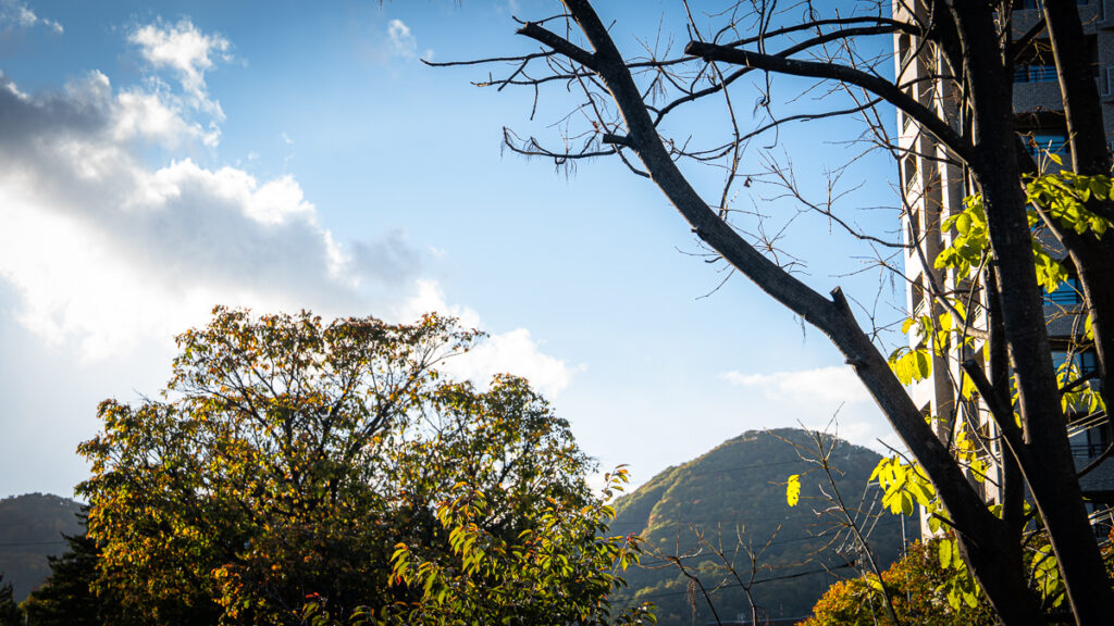 Blue sky over tree-covered mountains with early touches of autumn color in Sapporo.