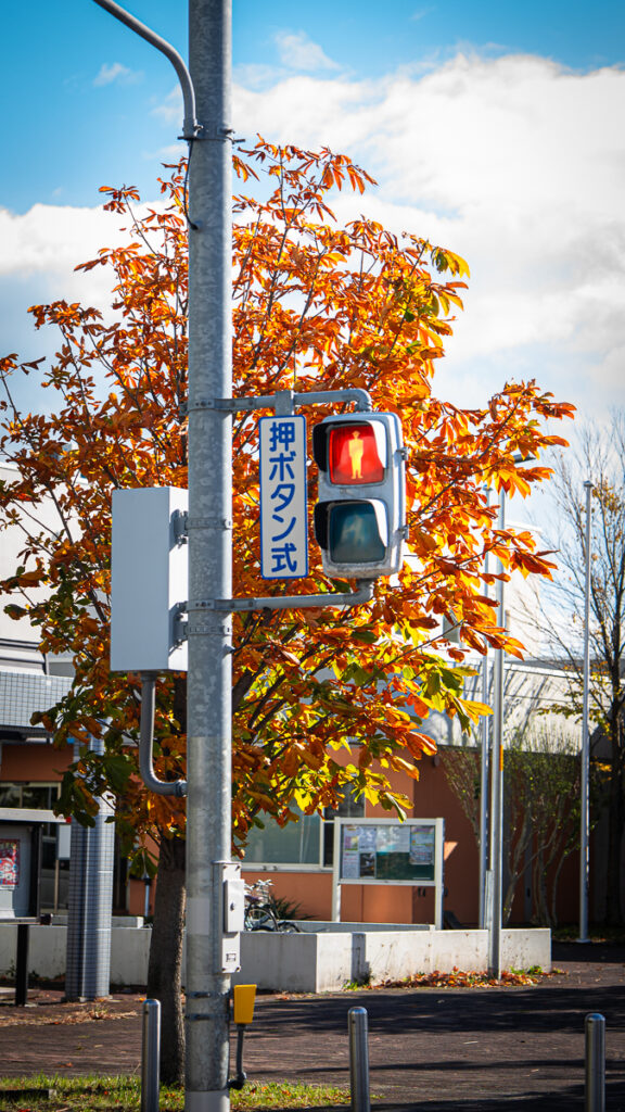 A Japanese pedestrian crossing light with kanji, framed by bright orange tree leaves and blue sky.