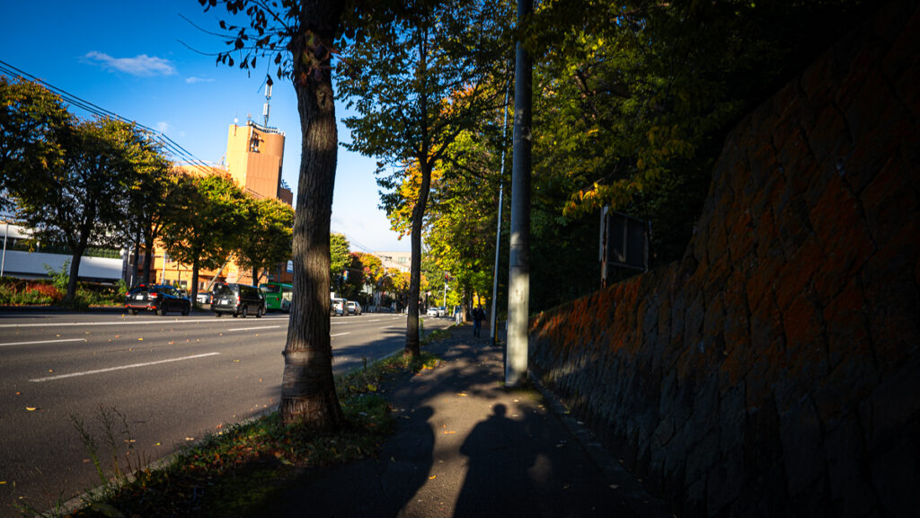 Long shadows stretching ahead on a sidewalk during a morning walk in Sapporo.