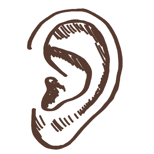 hand drawn ear