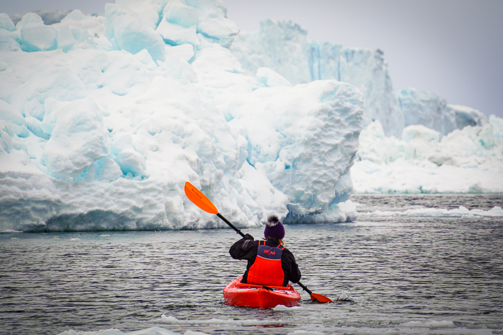Laurie Forrest Moy approaching large blue icebergs in Disko Bay.