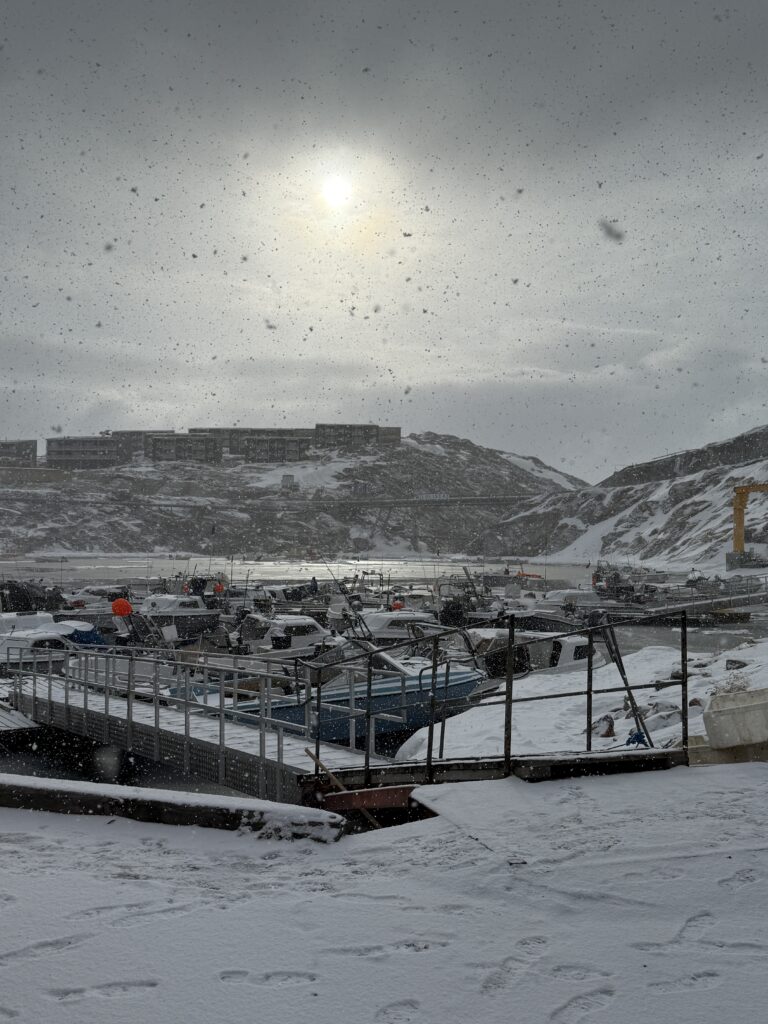 Snow-covered harbor in Ilulissat with large snowflakes falling before a kayaking tour.