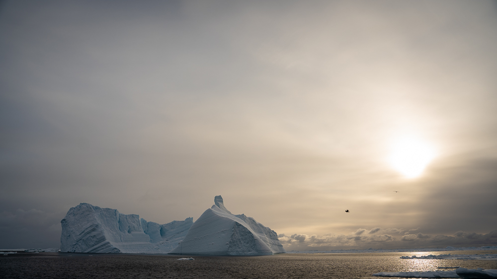 Large iceberg with a scooped center and birds flying nearby in Disko Bay.