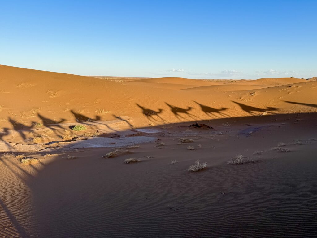 Shadows of a long line of camel riders stretch across a soft sand dune with blue sky in the background in Morocco.