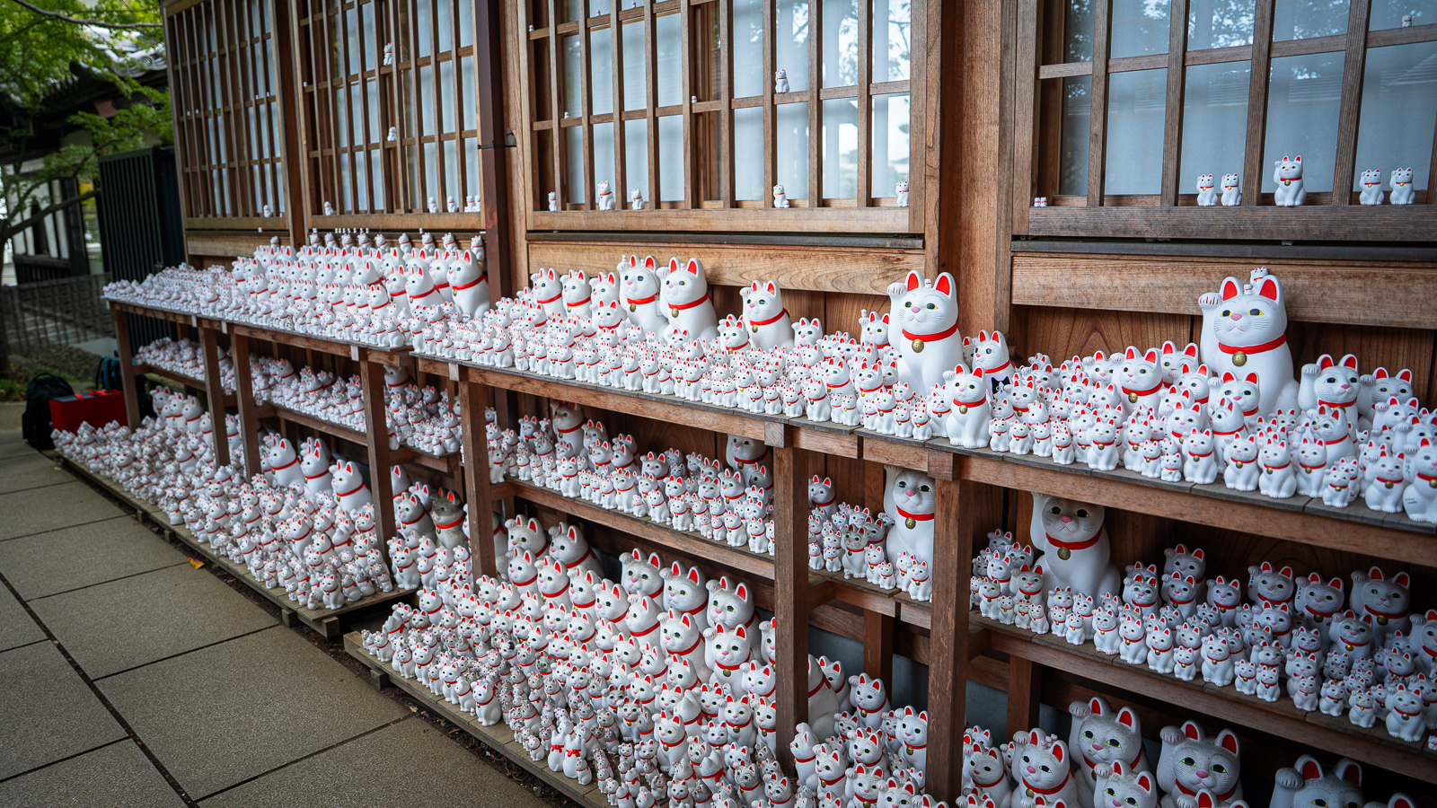 Wide view of shelves densely filled with lucky cats outside the main hall.