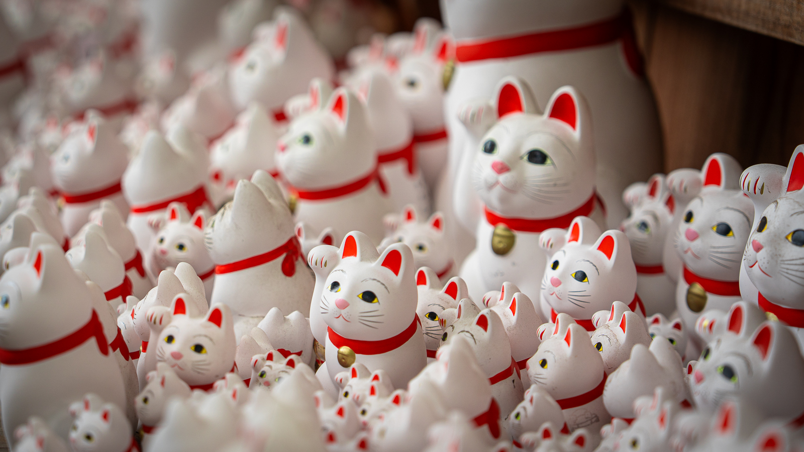 Close angled view of white maneki-neko statues arranged tightly together.