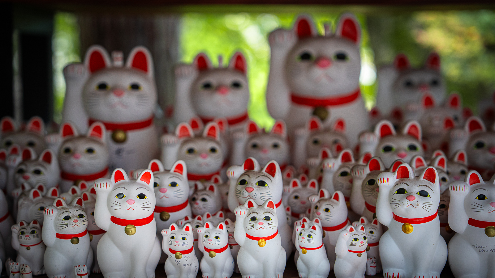 Medium shot with smaller lucky cats in focus and larger ones blurred behind.