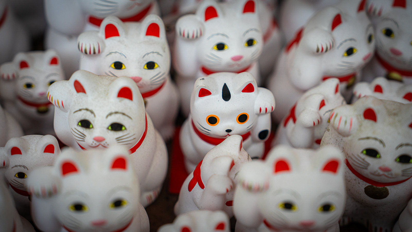 One lucky cat with black-and-orange eyes and raised left paw among uniform figures.