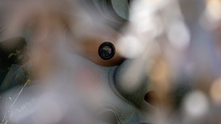 Lion’s eye in focus seen through blurred omikuji fortunes at Namba Yasaka Shrine.