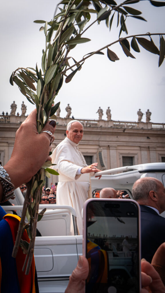 Hands holding olive branch and phone recording Pope in popemobile in St Peter’s Square